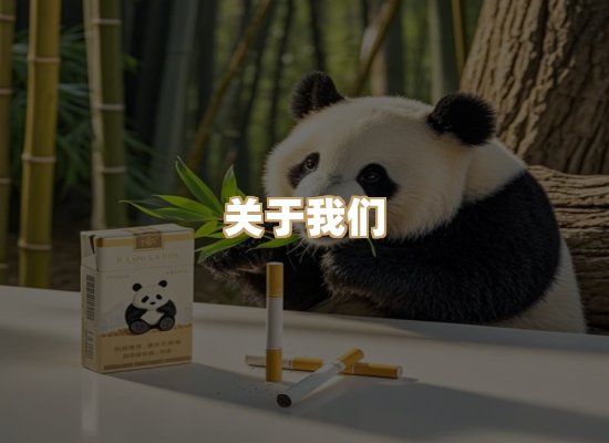 关于蓝帝网